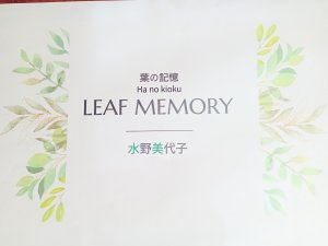 画像7: ナチュラルリーフ染めストールBOTANICAL PRINT    LEAF★